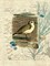 Sandpiper I Poster Print by Suzanne Nicoll - Item # VARPDXSN201